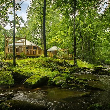 Staynantahala - Smoky Mountain Cabins Aquone Eksteriør bilde